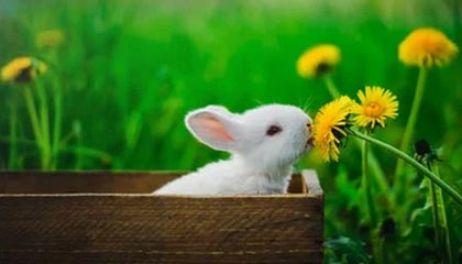 Kaiyun(中国)开云-阿尔阿赫利关键时刻发挥冷静，艾尔阿赫利