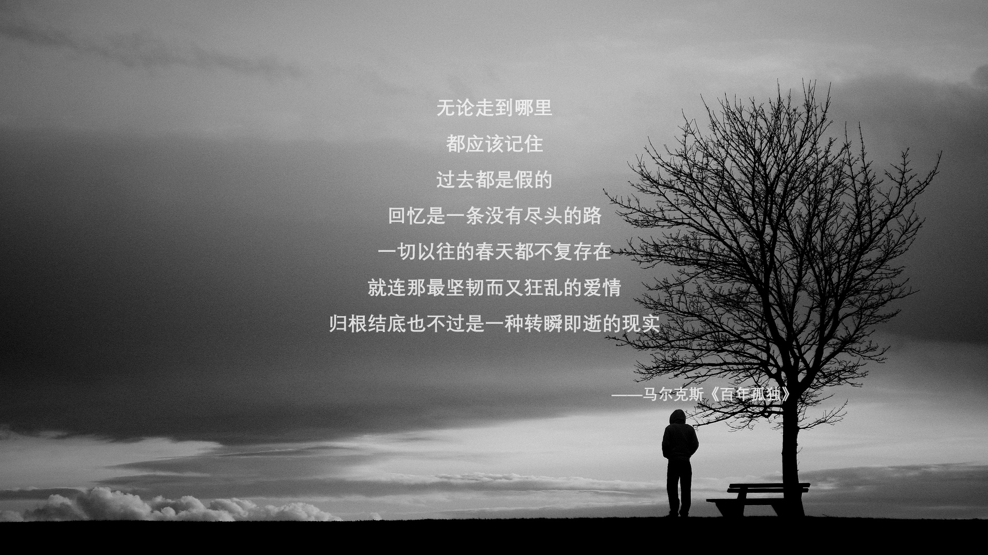英超足球文化节盛大举行，促进球迷交流，足球俱乐部英超