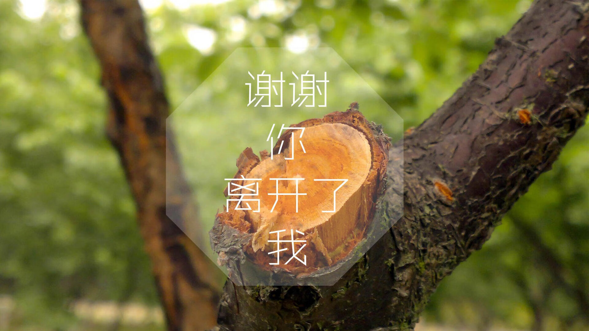 青少年篮球联赛规则调整促进公平竞争，青少年篮球邀请赛