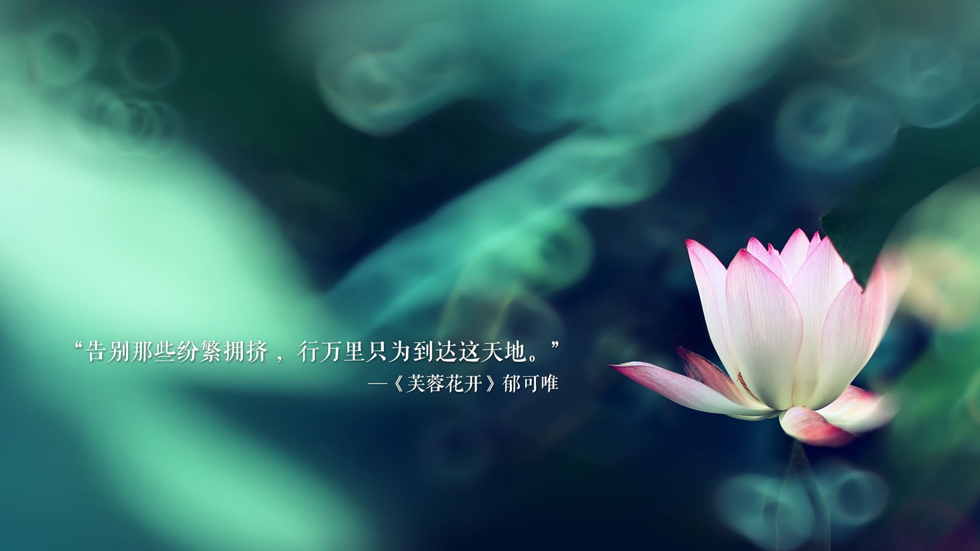 全北现代球员当选月度最佳，全北现代球队图片