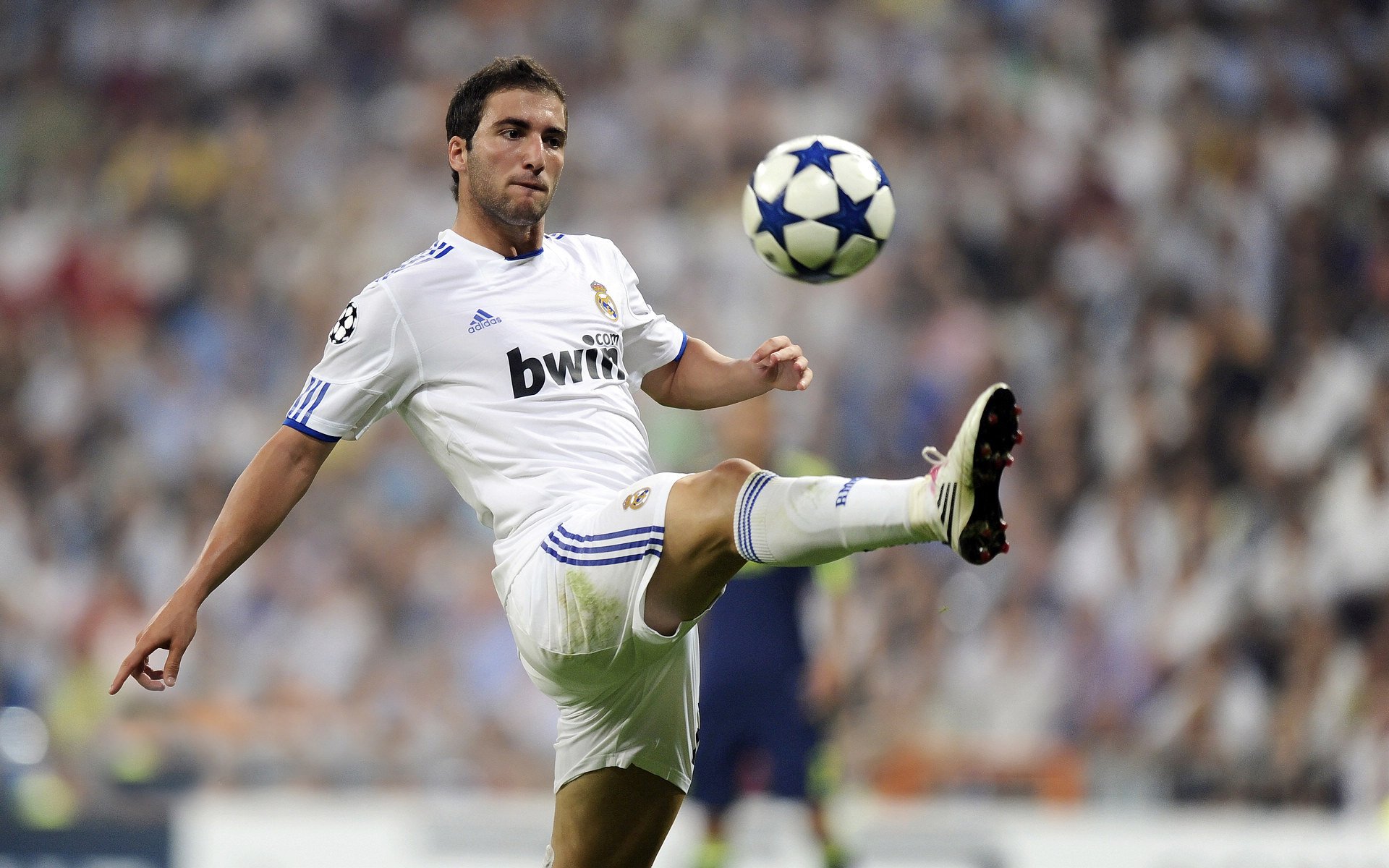 赛场风云：冠军争夺战的赛前分析，赛场风云突变